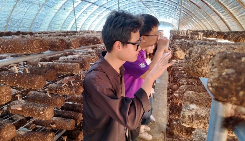 世界杯投注平台