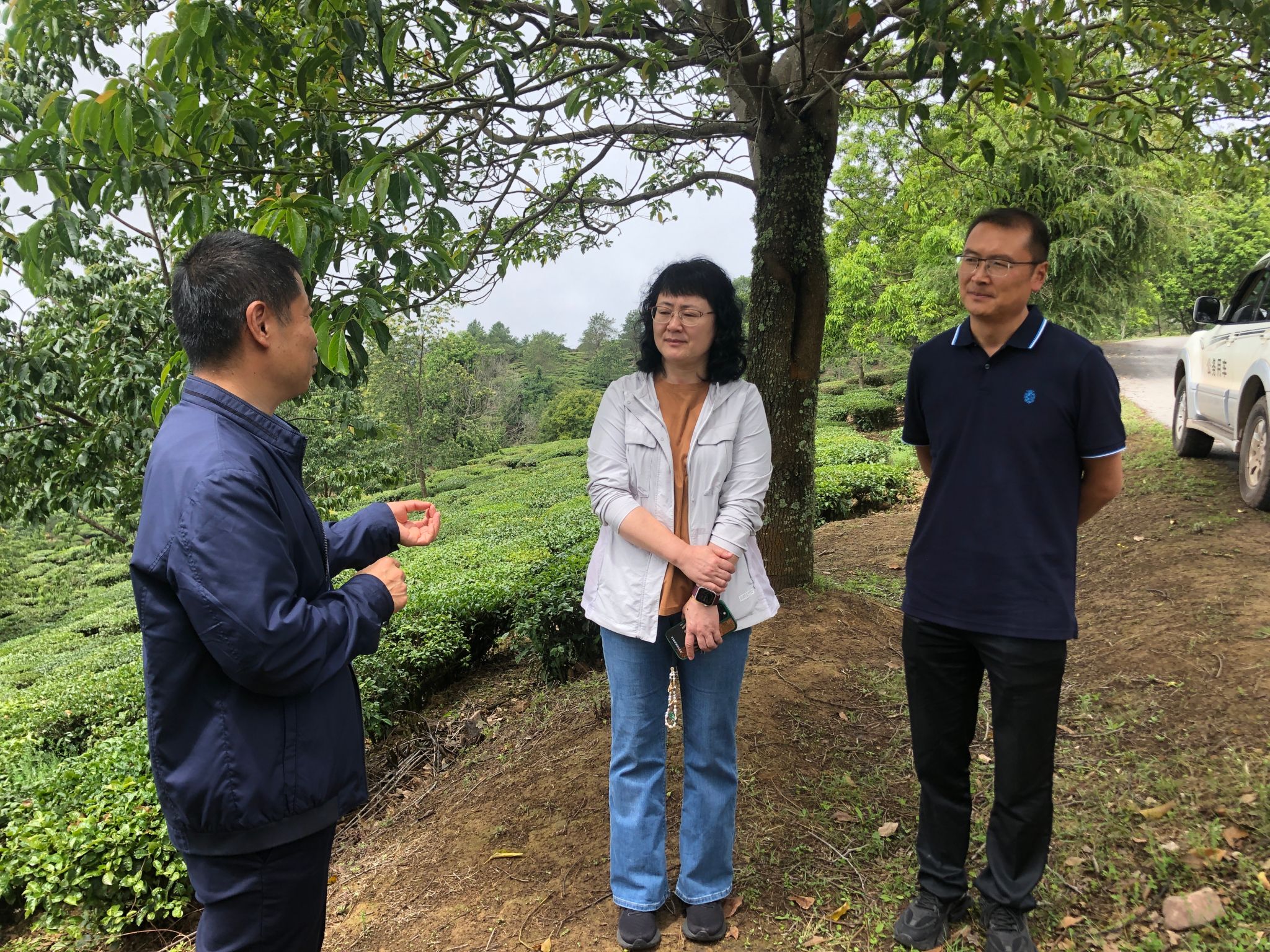 世界杯投注平台