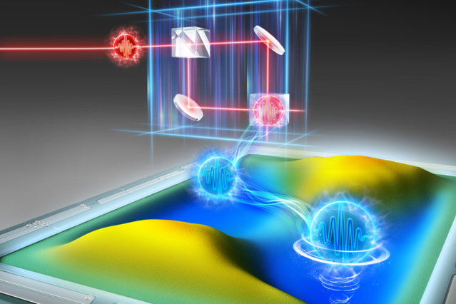 世界杯投注平台