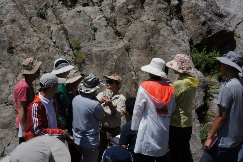 世界杯投注平台