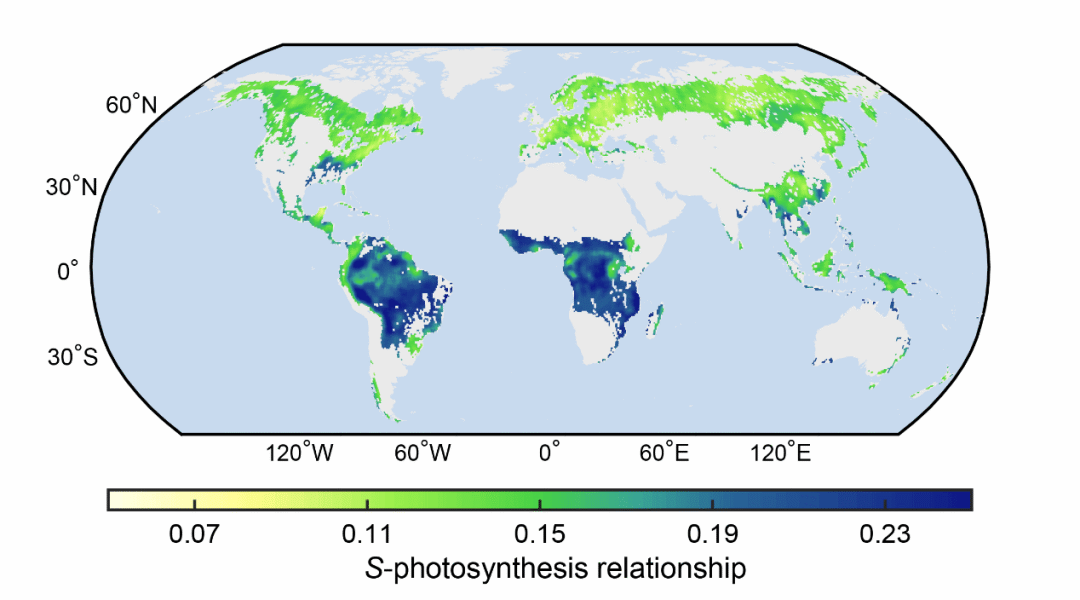 世界杯投注平台