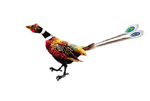 世界杯投注平台