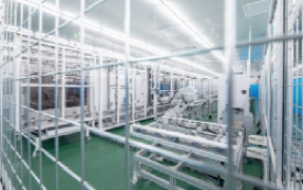 世界杯投注平台