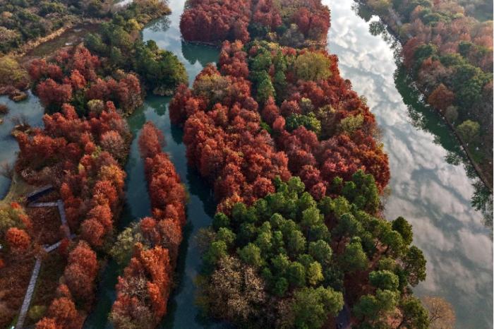 世界杯投注平台