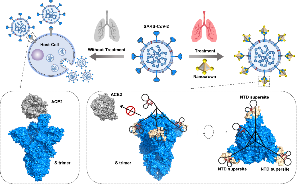 世界杯投注平台