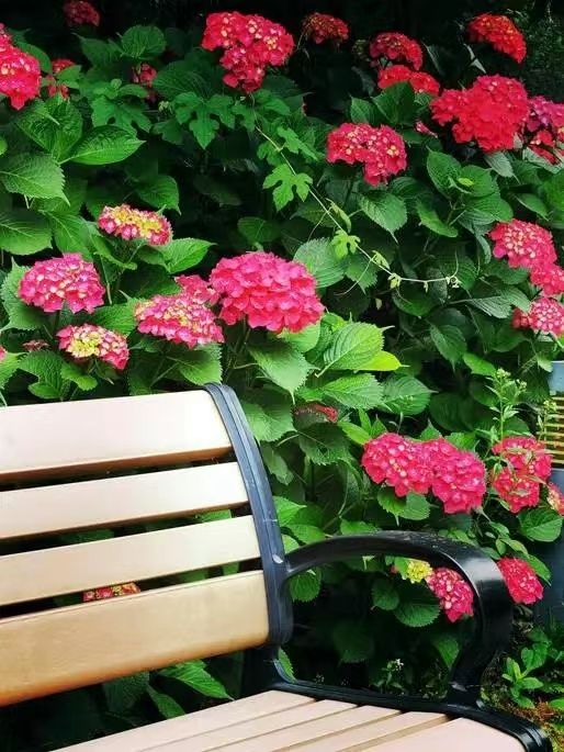 世界杯投注平台