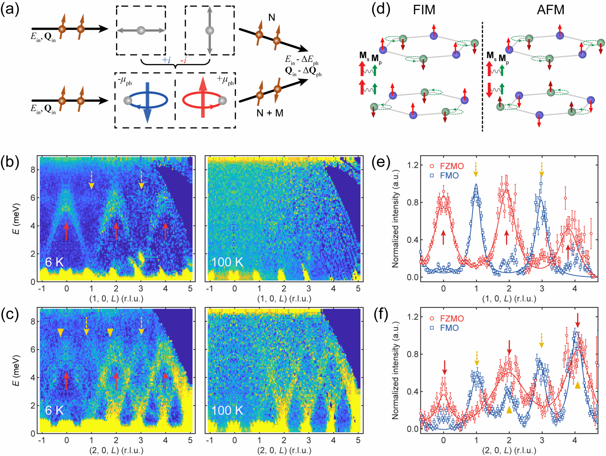世界杯投注平台