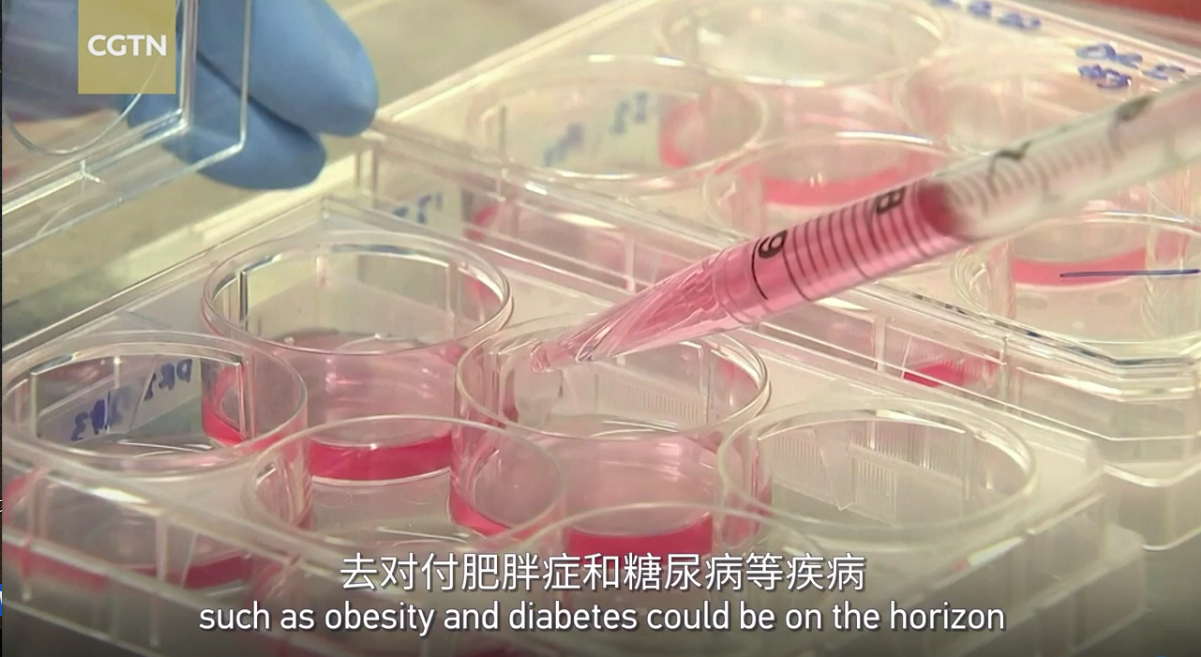 世界杯投注平台