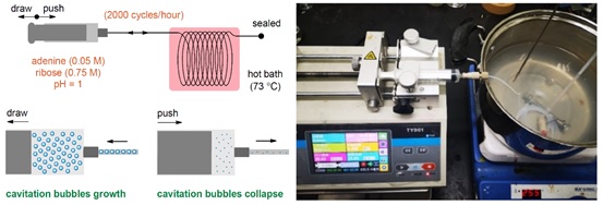 世界杯投注平台