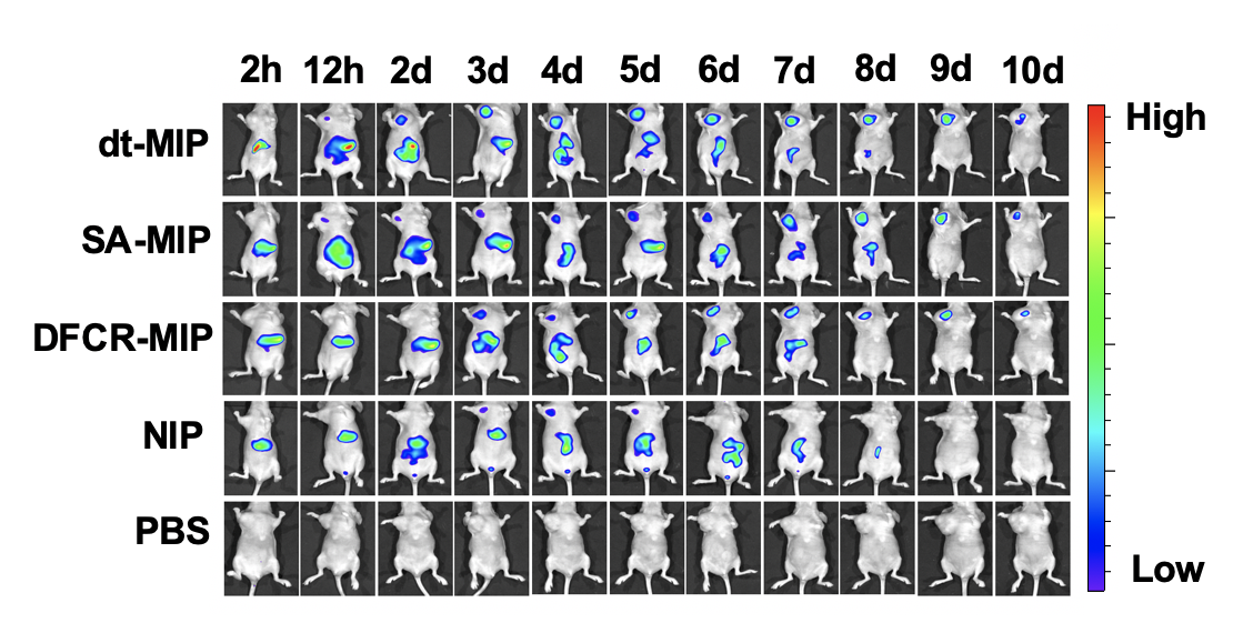世界杯投注平台