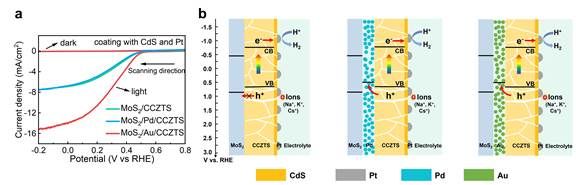 世界杯投注平台