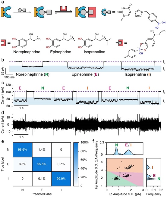 世界杯投注平台