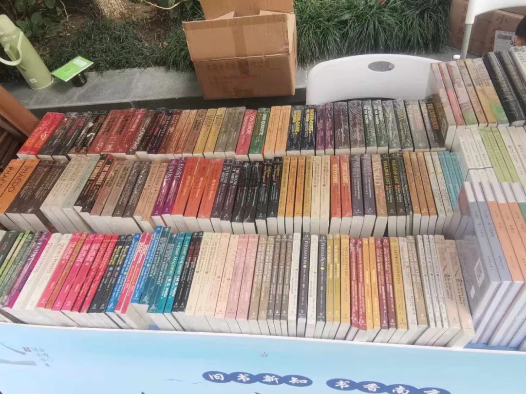 世界杯投注平台