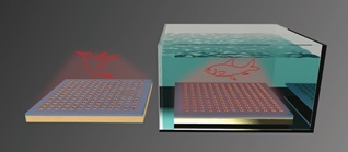 世界杯投注平台