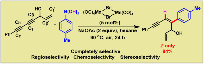 世界杯投注平台