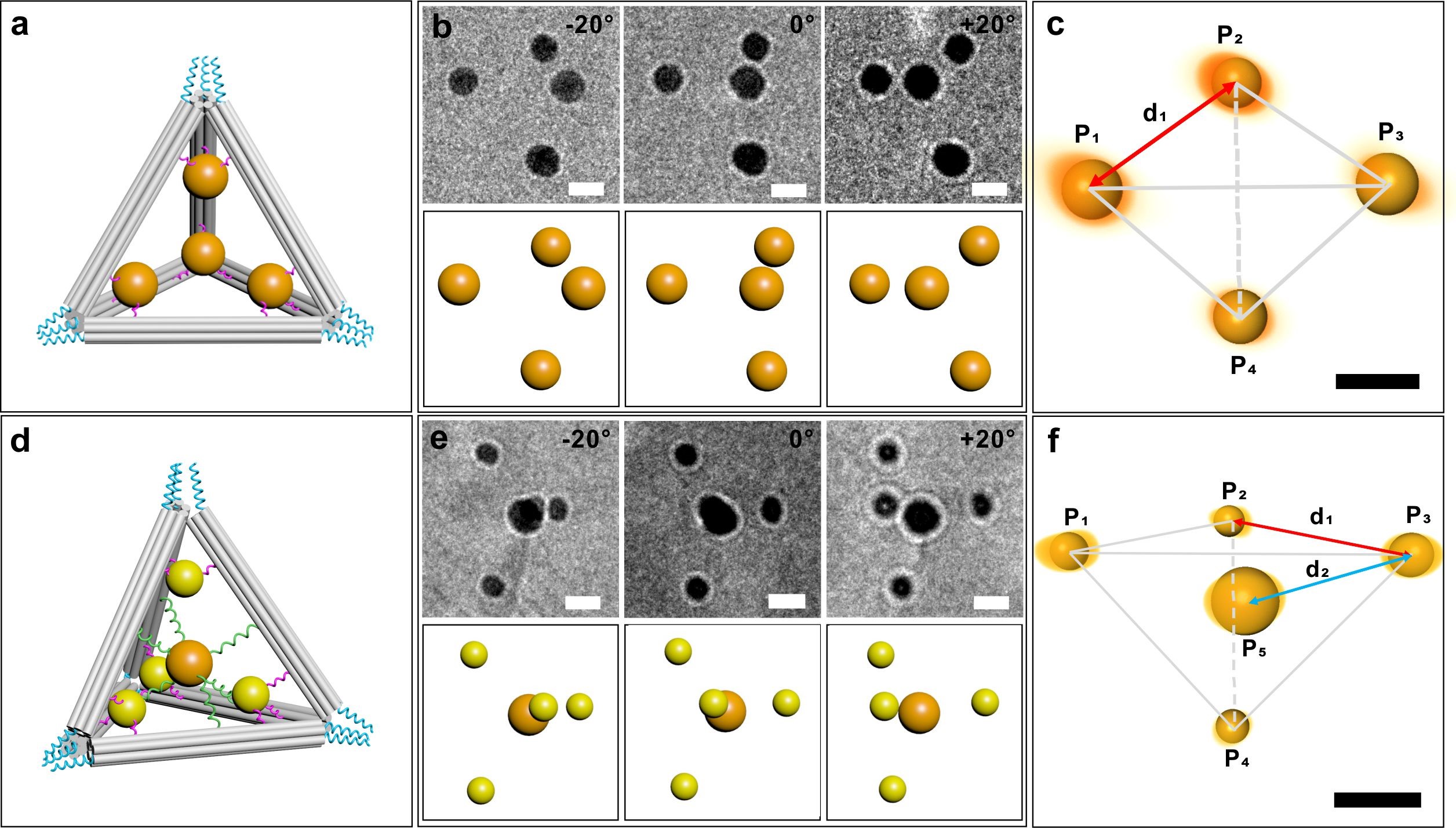 世界杯投注平台