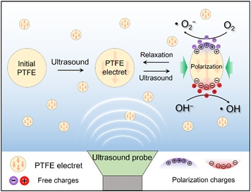 世界杯投注平台