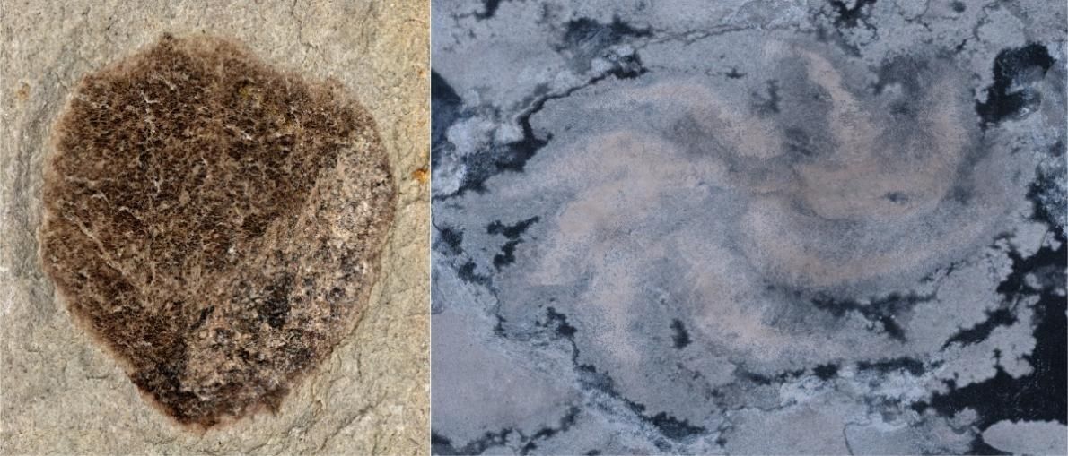 世界杯投注平台