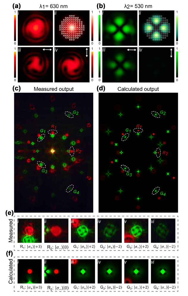 世界杯投注平台