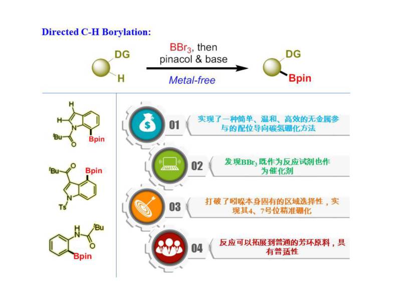 世界杯投注平台