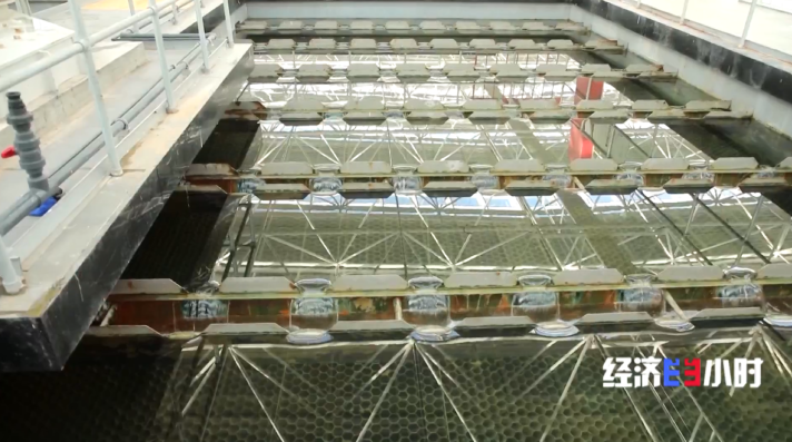 世界杯投注平台