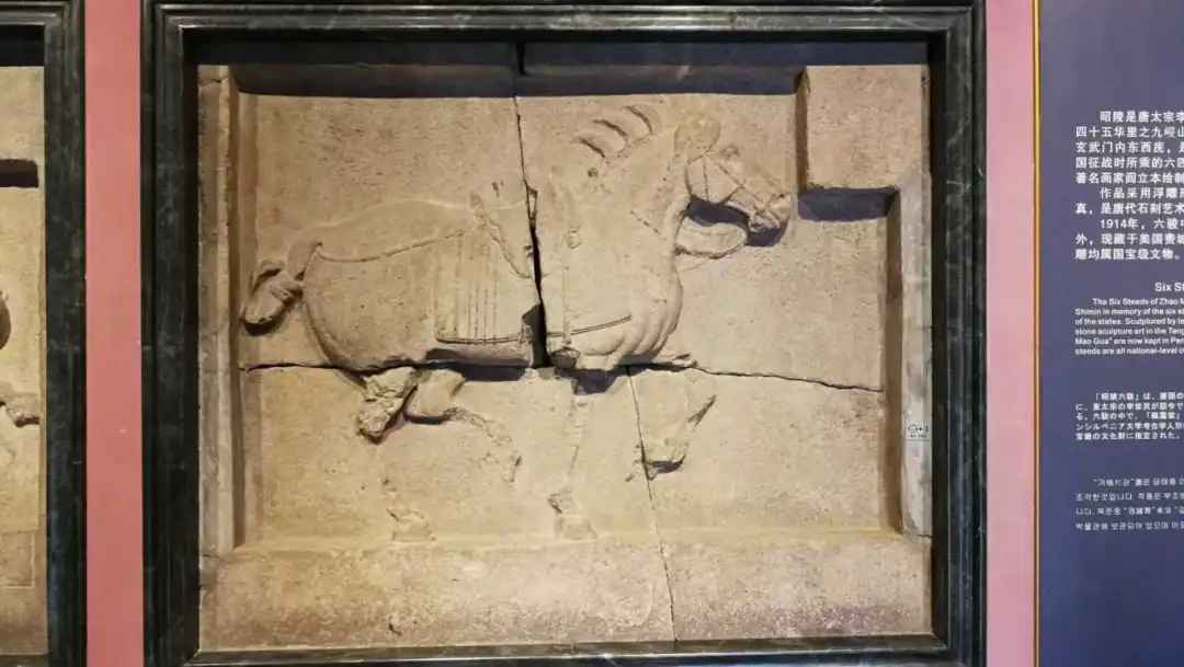 世界杯投注平台