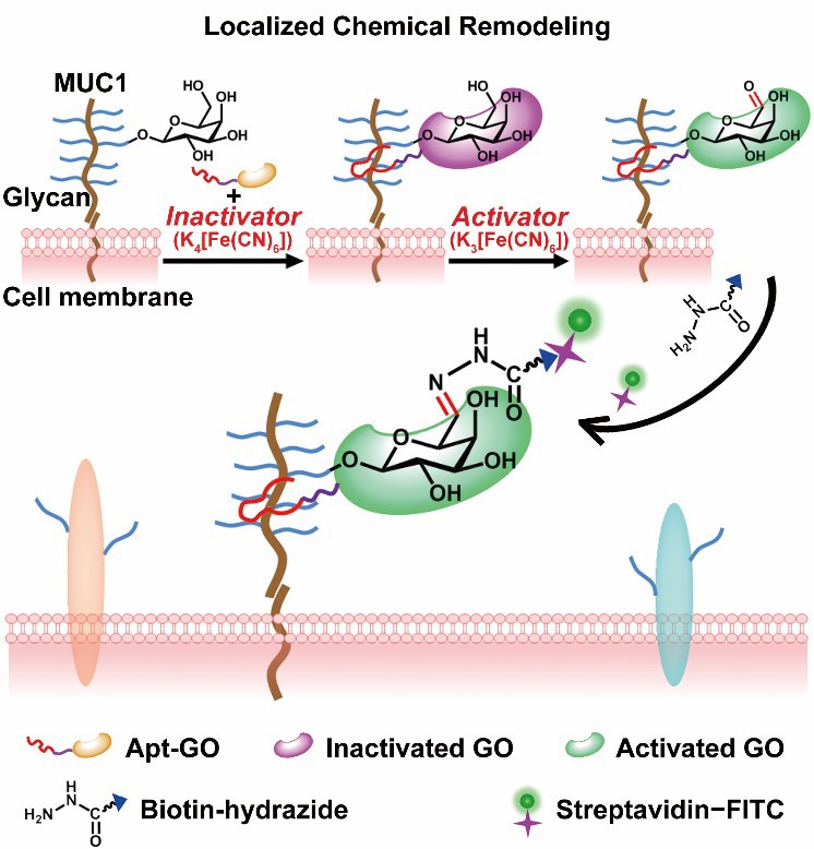 世界杯投注平台