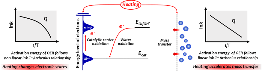 世界杯投注平台