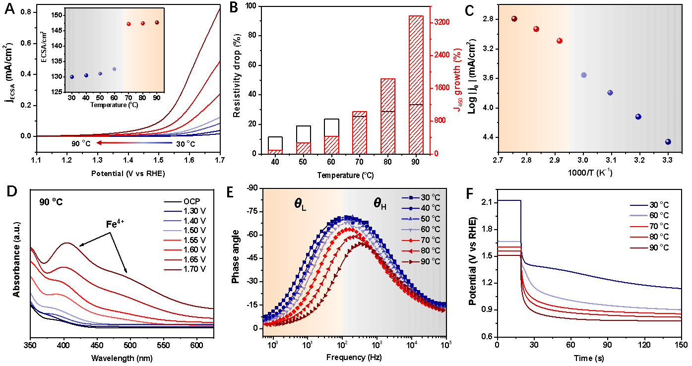 世界杯投注平台