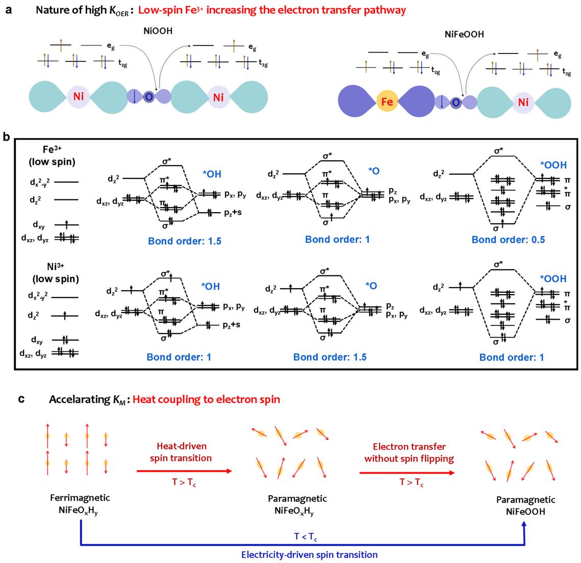 世界杯投注平台