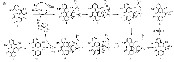 世界杯投注平台