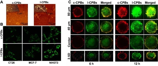 世界杯投注平台