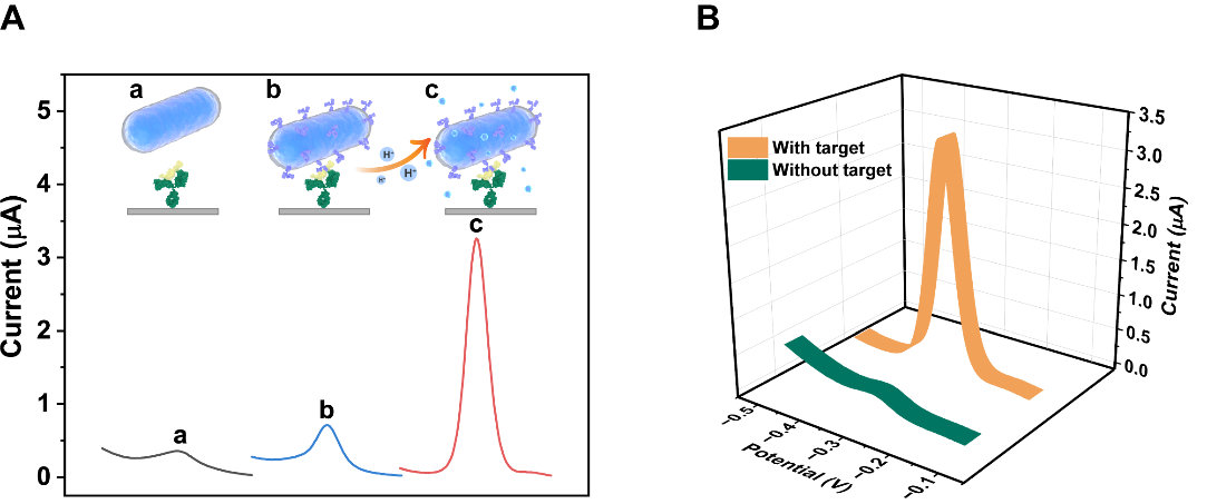 世界杯投注平台