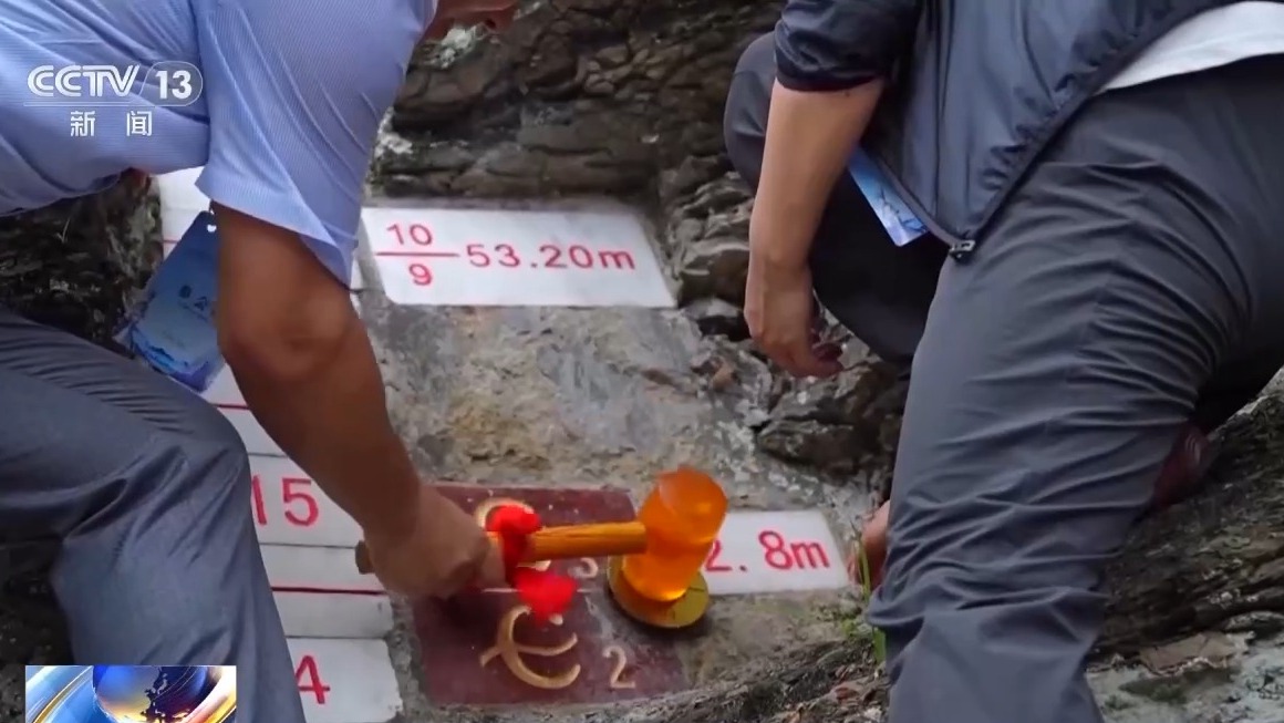 世界杯投注平台