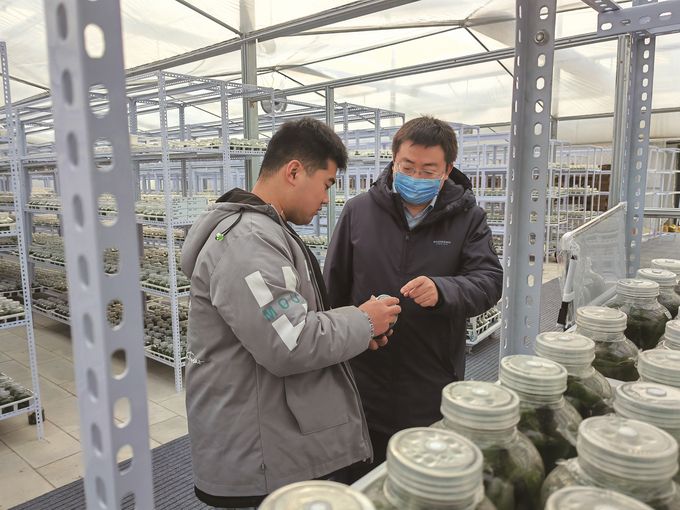 世界杯投注平台