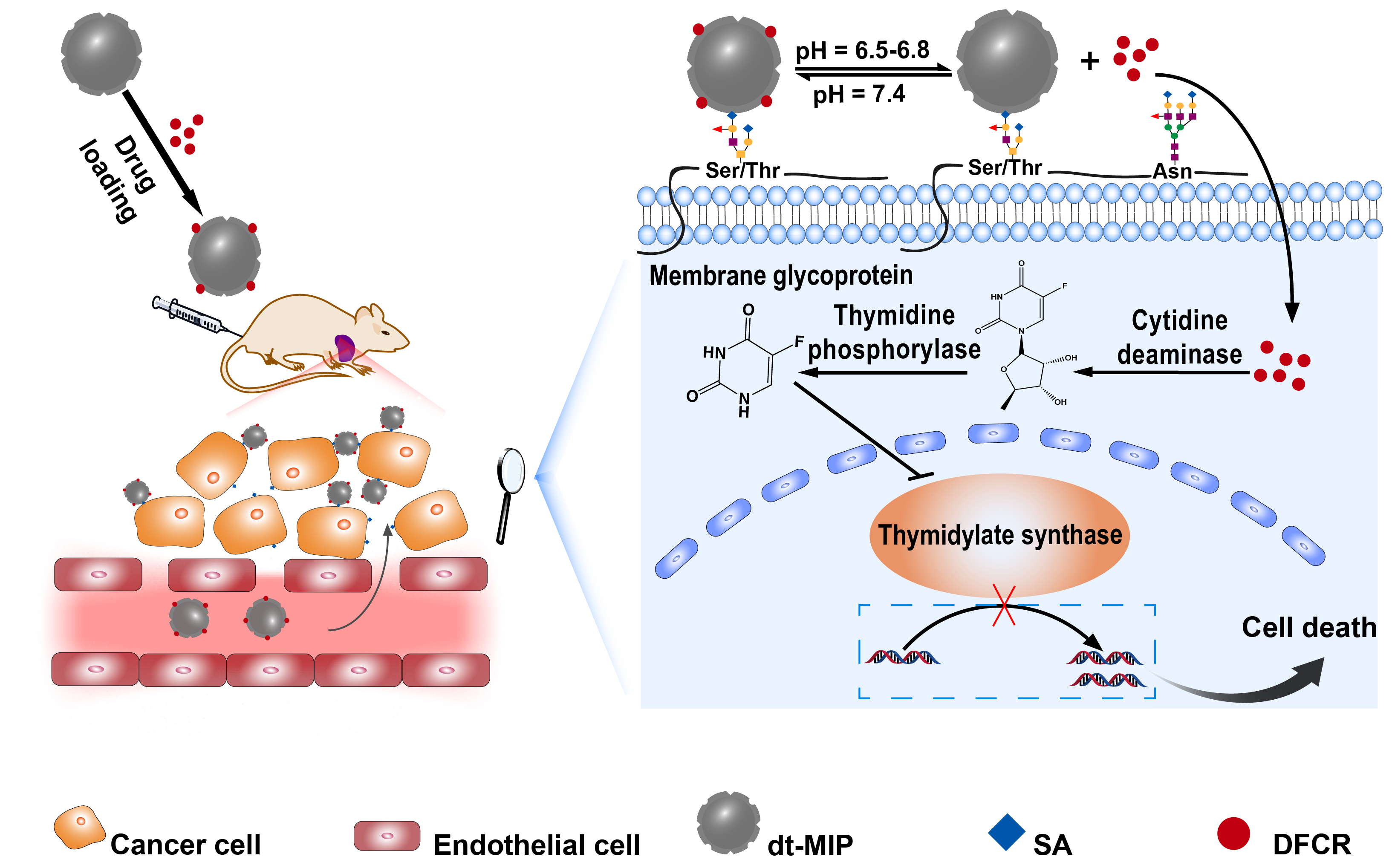世界杯投注平台