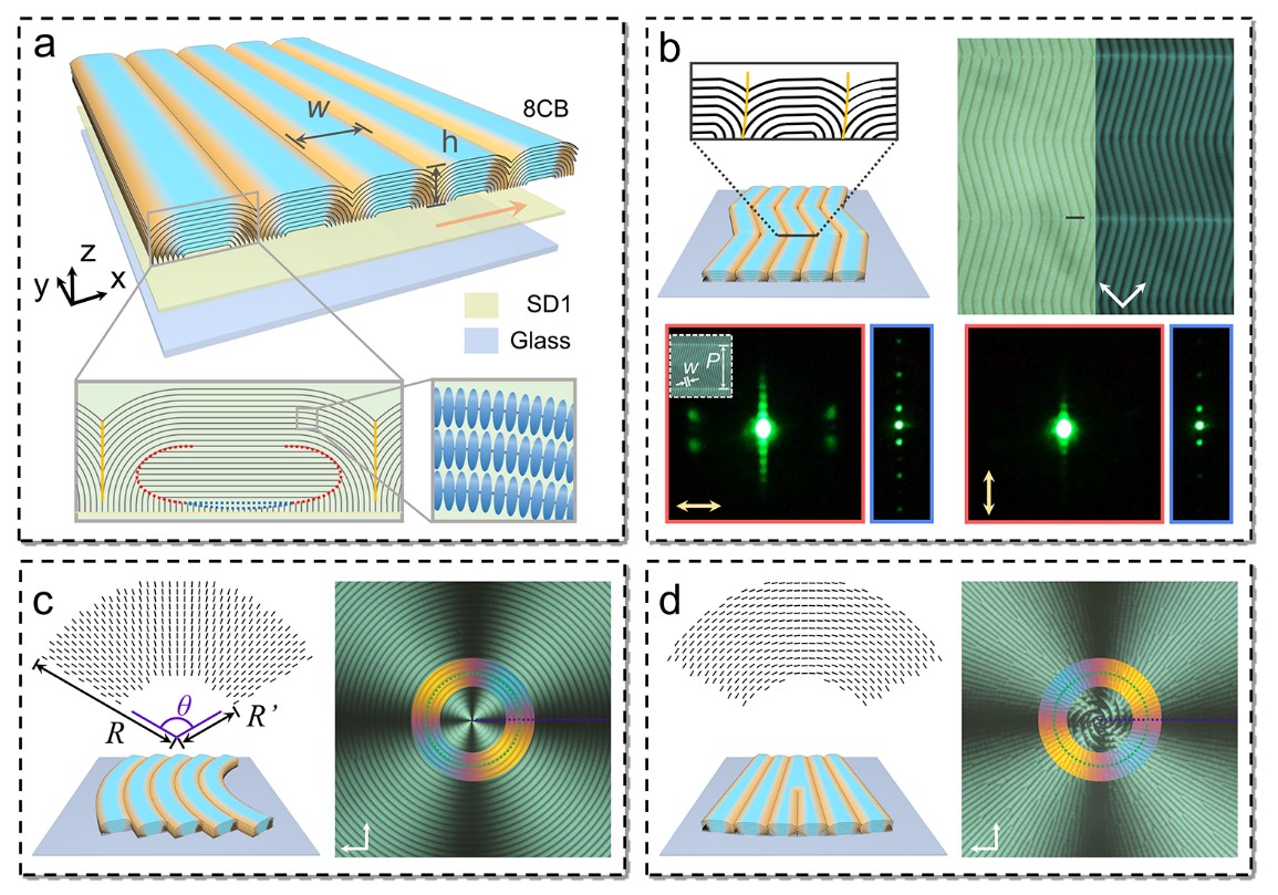 世界杯投注平台
