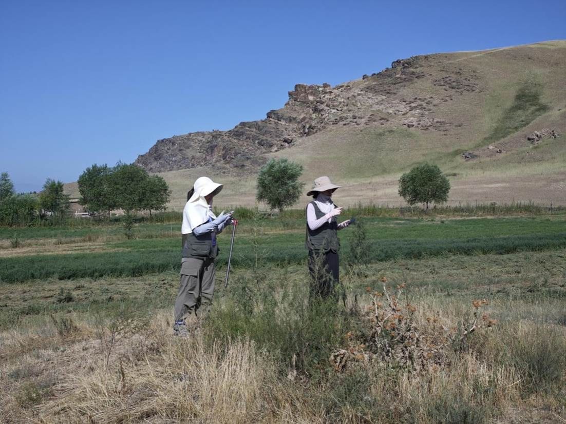 世界杯投注平台