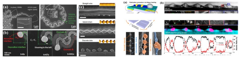世界杯投注平台