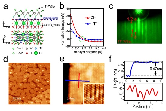 1-1 世界杯投注平台