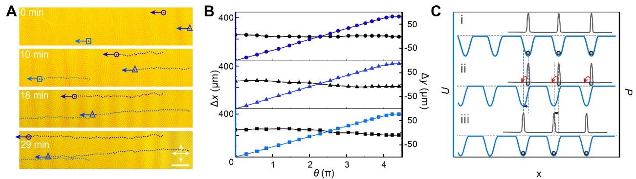 世界杯投注平台