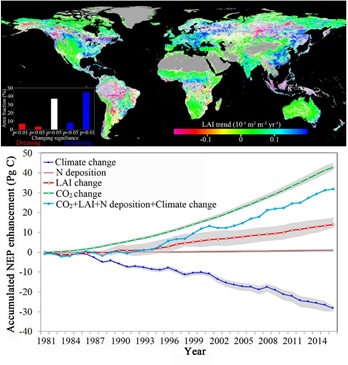 世界杯投注平台