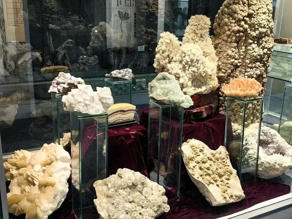 世界杯投注平台