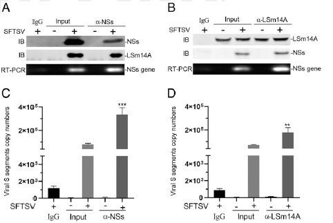 3 世界杯投注平台