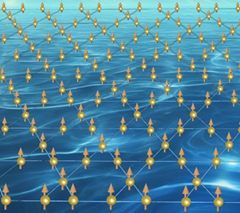 世界杯投注平台