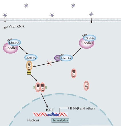 0 世界杯投注平台