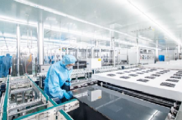 世界杯投注平台