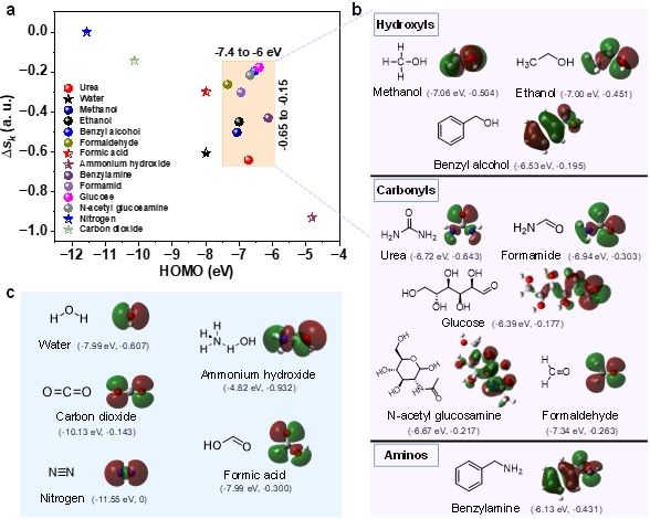 世界杯投注平台
