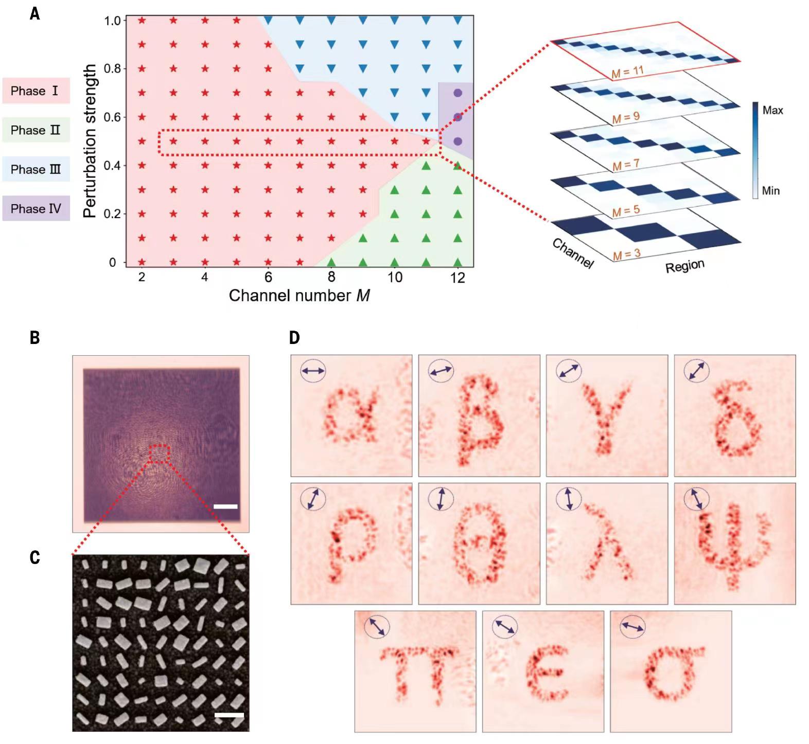 世界杯投注平台