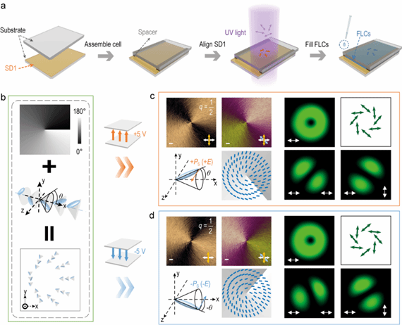 世界杯投注平台